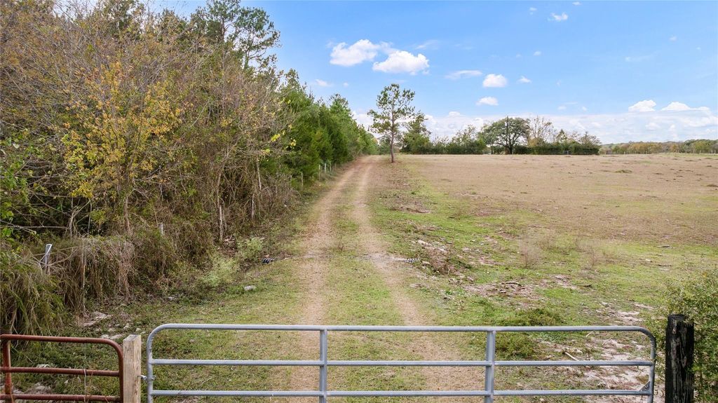 Photo of TBD Fm 2445, Navasota, TX 77868 (MLS # 32610491)