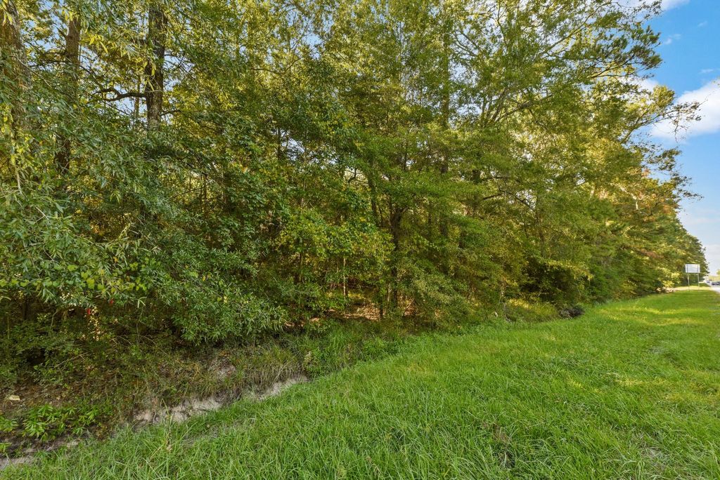 Photo of 29819 Huffman Cleveland Road, Huffman, TX 77336 (MLS # 71712806)
