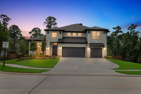 Photo of 8546 Burdekin Rd Rd, Magnolia, TX 77354 (MLS # 64781841)