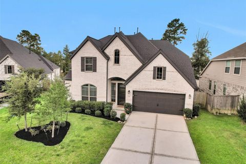Photo of 256 Conifer Cliff Drive, Montgomery, TX 77316 (MLS # 63666976)