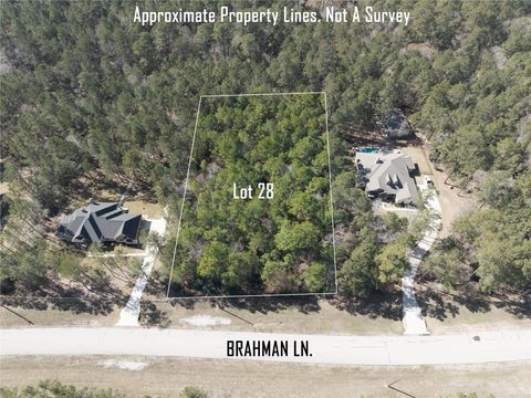 Vacant Land For Sale - LOT 28 Brahman Lane<br/> Huntsville, TX 77358