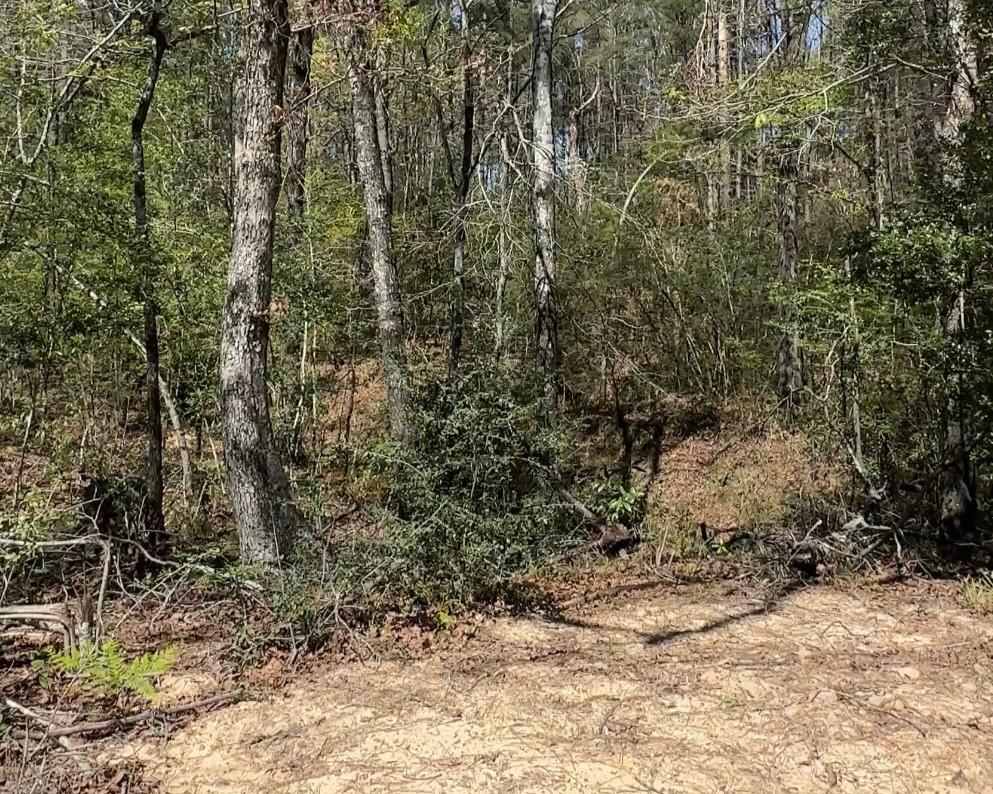 16283 Ridge Oak Road