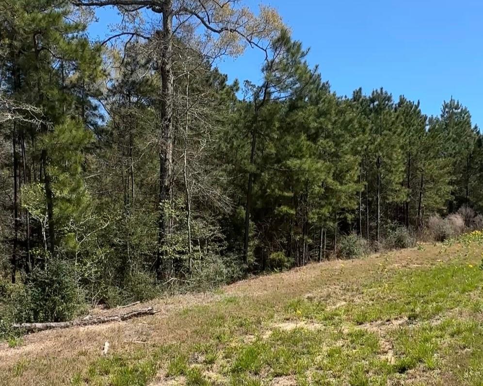 16283 Ridge Oak Road