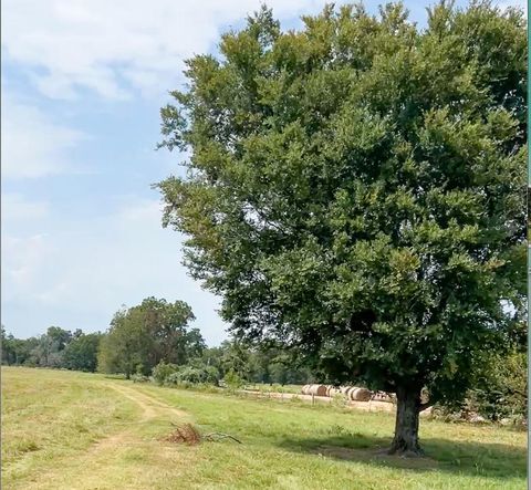Photo of 327 Fm 2548, Midway, TX 75852 (MLS # 27403653)