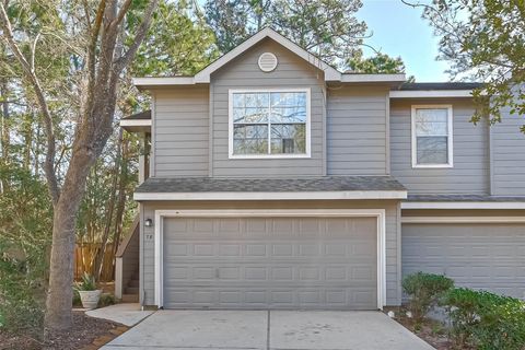 Photo of 78 Marble Rock Place, The Woodlands, TX 77382 (MLS # 62012780)