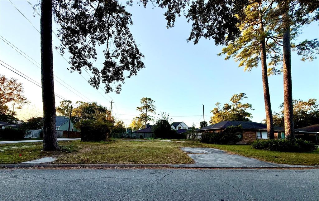 Photo of 2003 Ebony Lane, Houston, TX 77018 (MLS # 72799183)