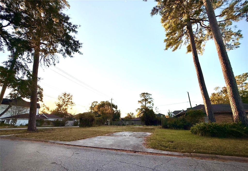 Photo of 2003 Ebony Lane, Houston, TX 77018 (MLS # 72799183)