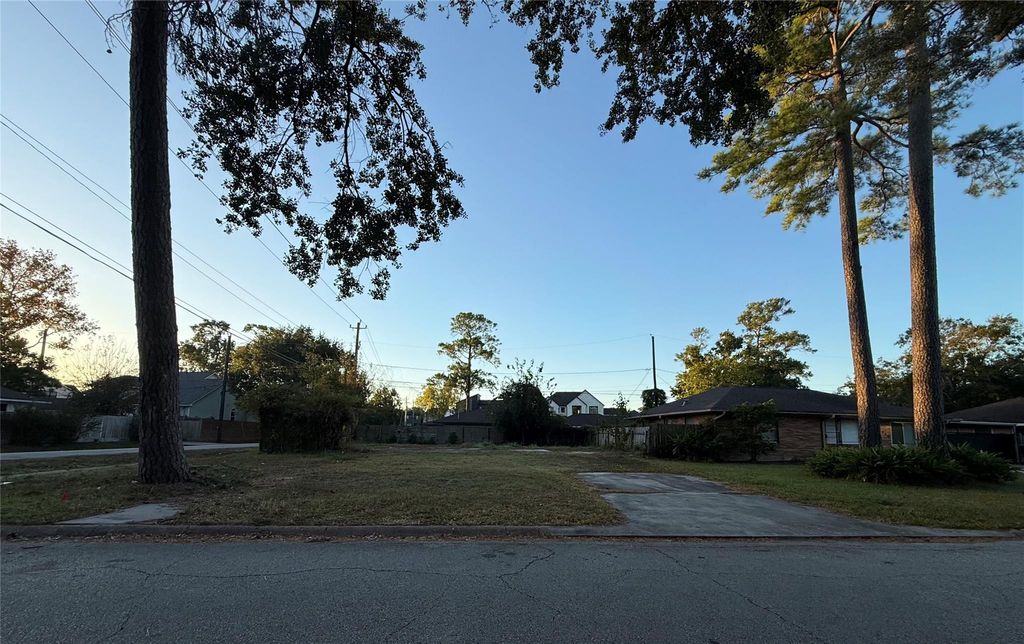 Photo of 2003 Ebony Lane, Houston, TX 77018 (MLS # 72799183)