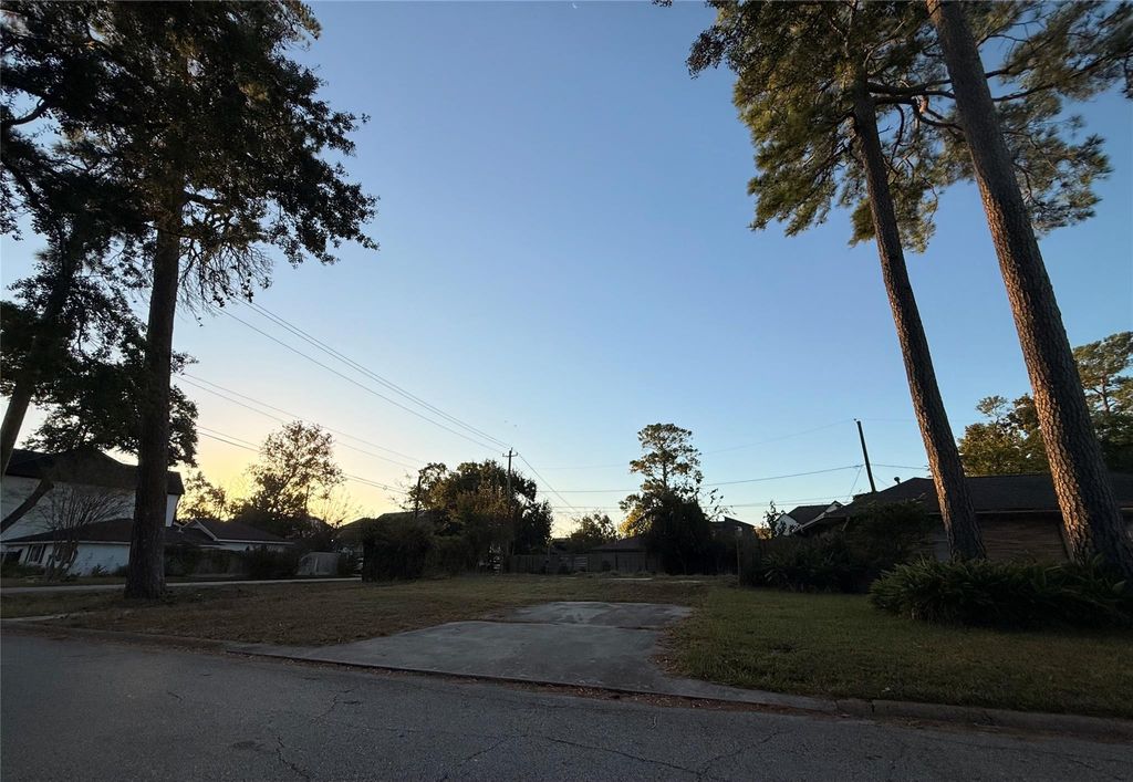 Photo of 2003 Ebony Lane, Houston, TX 77018 (MLS # 72799183)
