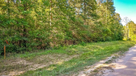 Vacant Land For Sale - TBD Timbergrove<br/> Livingston, TX 77351