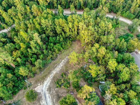 Photo of 184 Willow Drive, Onalaska, TX 77360 (MLS # 91715918)
