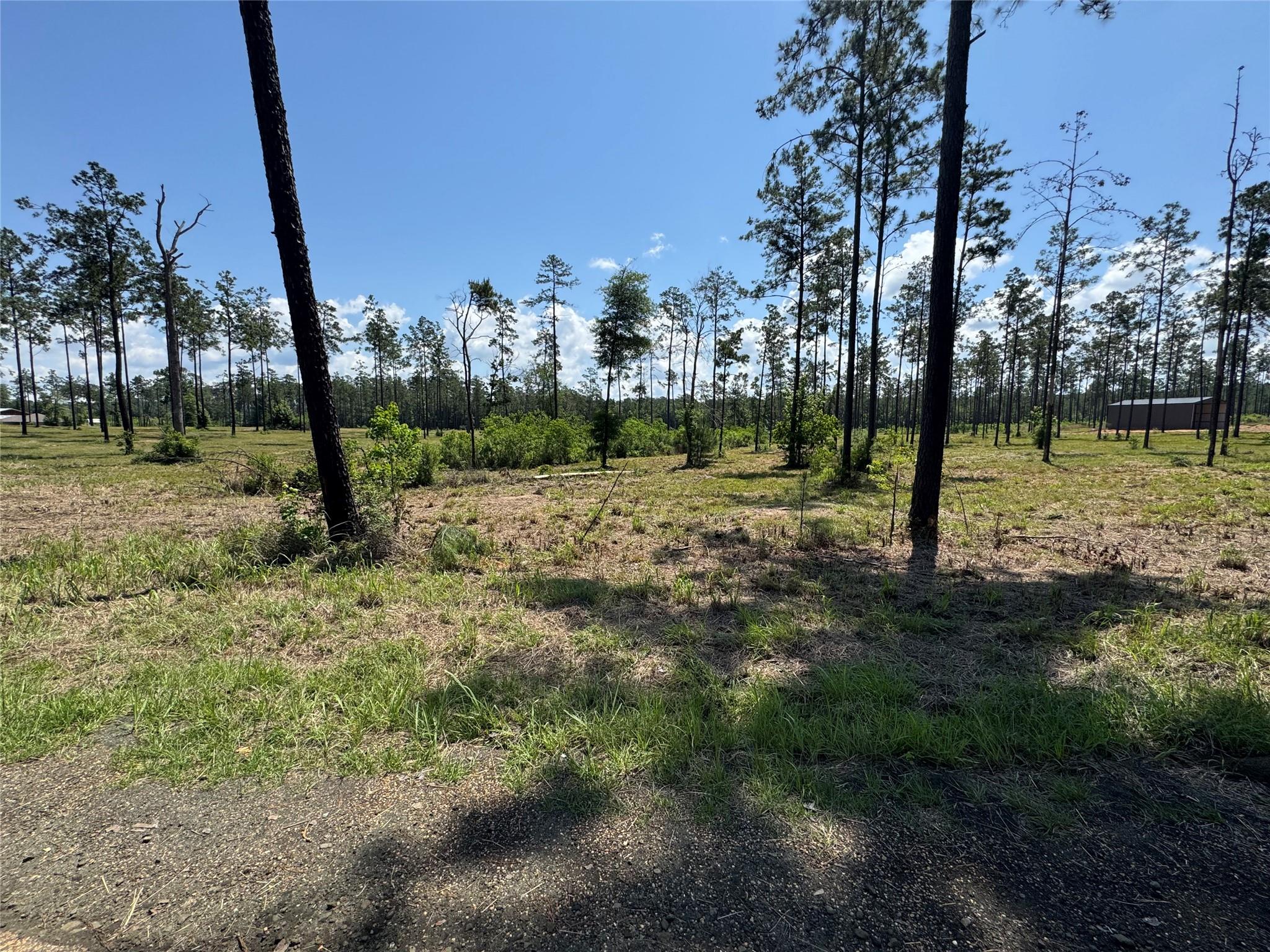 081 Private Road 6026