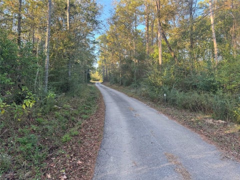 Photo of TBD Eastwood Avenue, Coldspring, TX 77331 (MLS # 50017902)