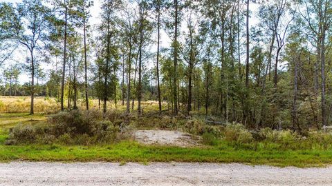 Photo of 922 Rolling Pines Drive, Livingston, TX 77351 (MLS # 73748371)
