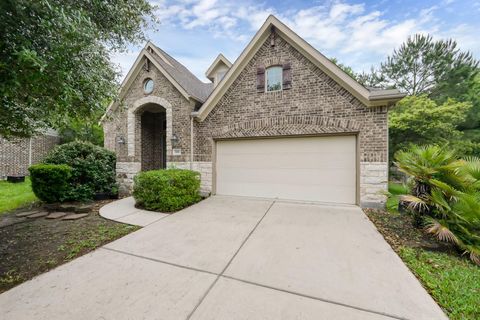 126 Kohen Court Montgomery TX 77316
