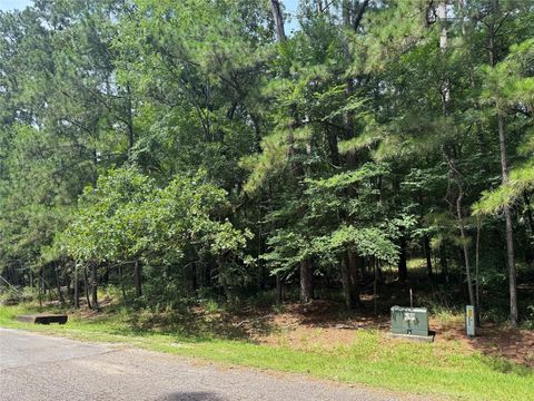 Photo of 75 Green Tree Drive, Coldspring, TX 77331 (MLS # 65715319)