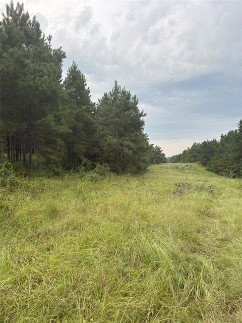 Photo of 1388 County Road 1060, Center, TX 75935 (MLS # 4206958) Photo of 1388 County Road 1060, Center, TX 75935 (MLS # 4206958)