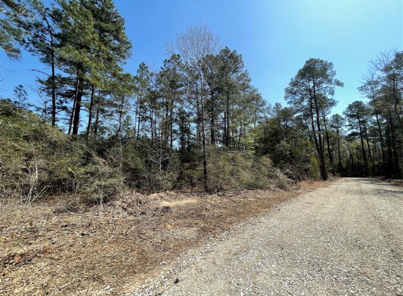 17040 E William Road