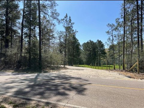 Photo of 17040 E William Road Rd, Conroe, TX 77303 (MLS # 3394901)