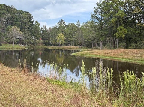 Photo of 1723 Adams Cemetery Road, Seven Oaks, TX 77351 (MLS # 71291715)