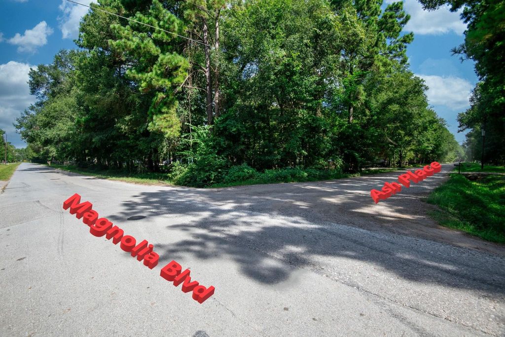 Photo of 65 Ash Place, New Caney, TX 77357 (MLS # 16435449)