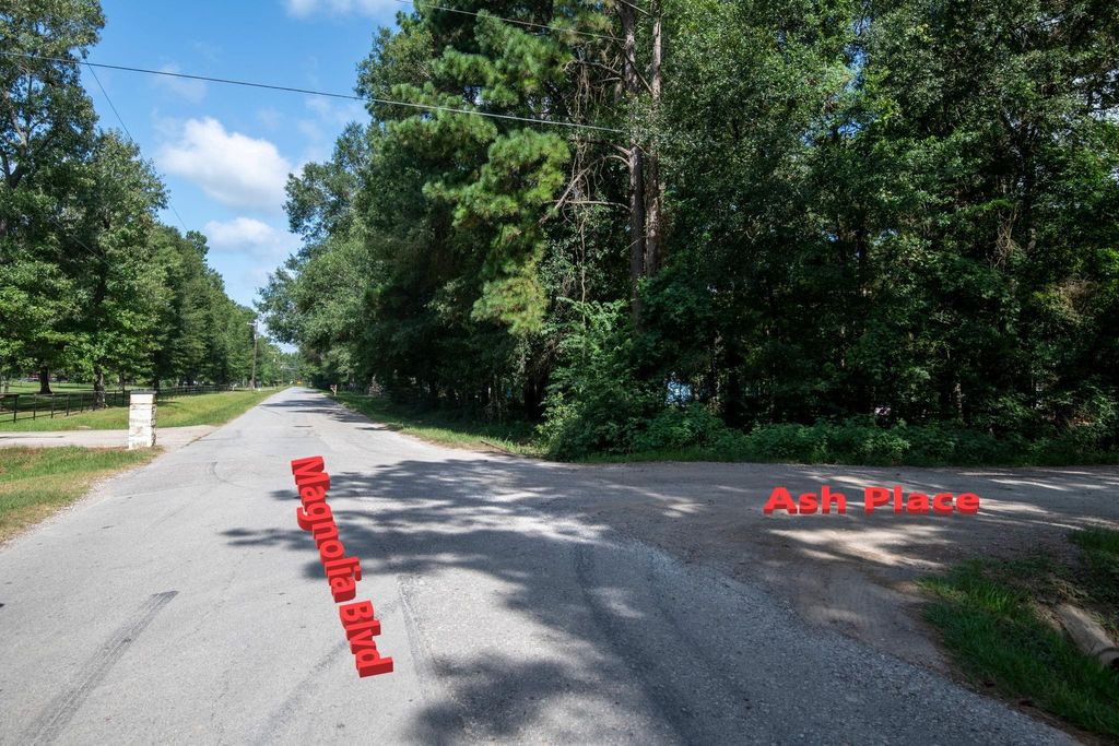 Photo of 65 Ash Place, New Caney, TX 77357 (MLS # 16435449)