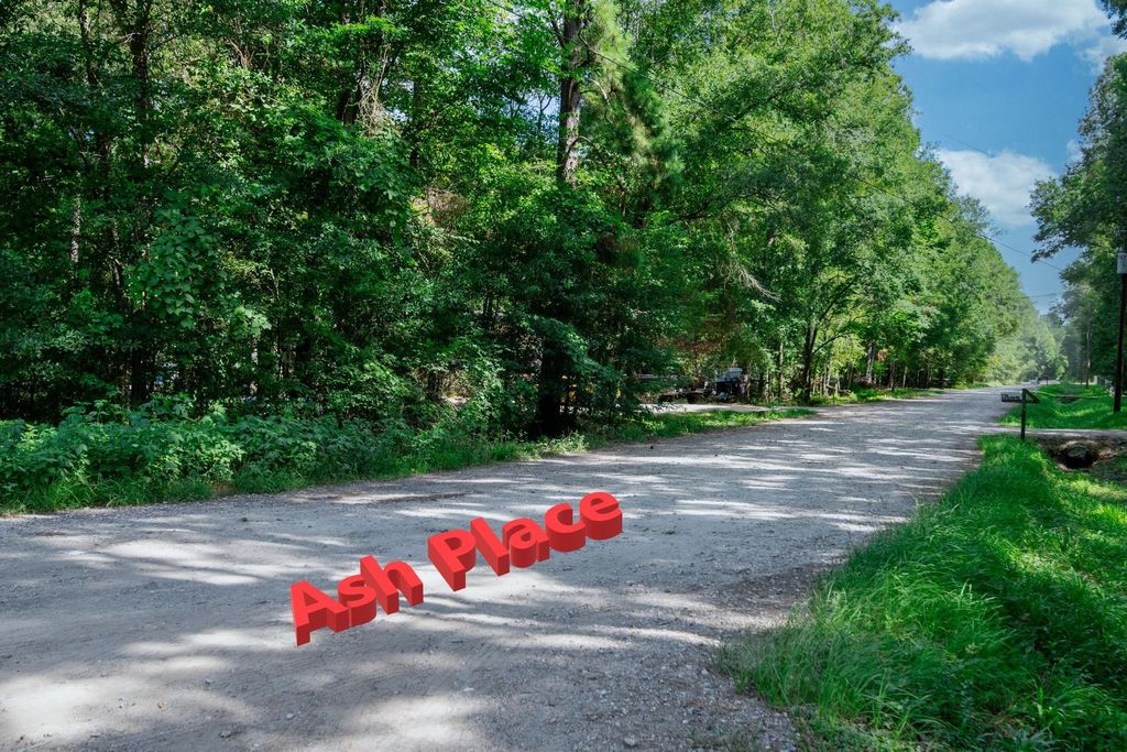 Photo of 65 Ash Place, New Caney, TX 77357 (MLS # 16435449)