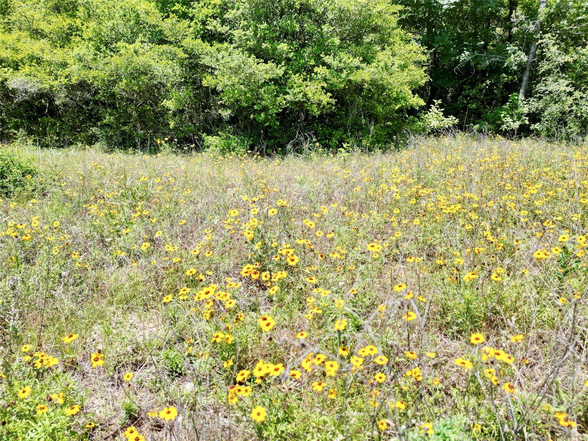 3803 Private 4100 Road