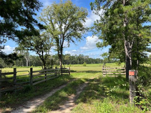 Photo of 18288 Fm 1774, Plantersville, TX 77363 (MLS # 89105789)