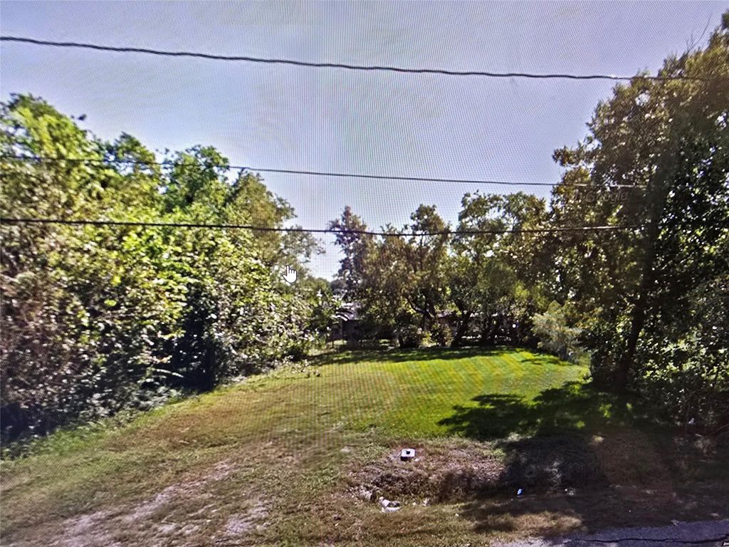 Photo of 0 Mount Pleasant Street, Houston, TX 77021 (MLS # 80376970)