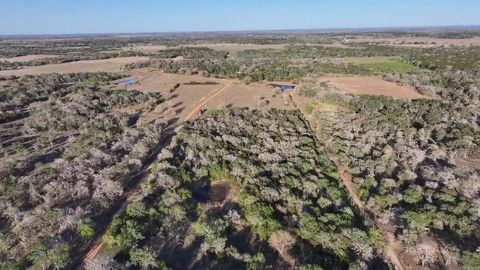 Photo of 2 191 Paffen Rd Rd, Paige, TX 78659 (MLS # 10022018)