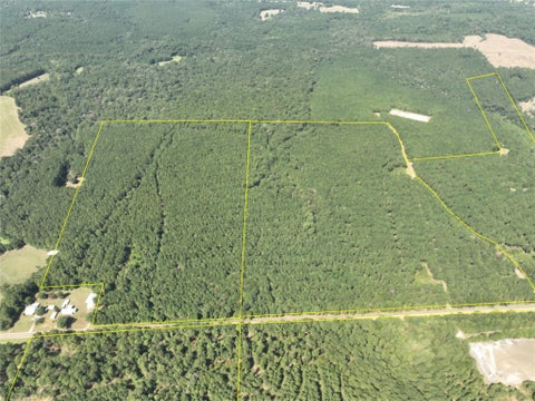 Vacant Land For Sale - T-3 Fm 256<br/> Woodville, TX 75979
