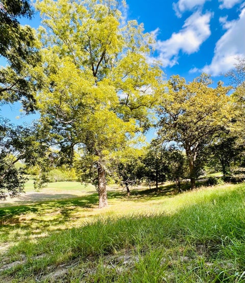 Vacant Land For Sale - TBD Country Club Court<br/> Fayette County, La Grange, TX 78945