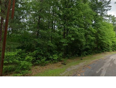 Photo of 0 County Road 071, Jasper, TX 75951 (MLS # 80009283)