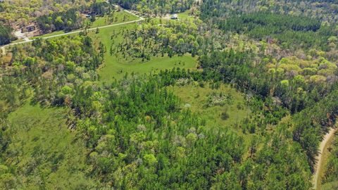 Vacant Land For Sale - 401 Big Buck Drive<br/> San Jacinto County, Cleveland, TX 77328