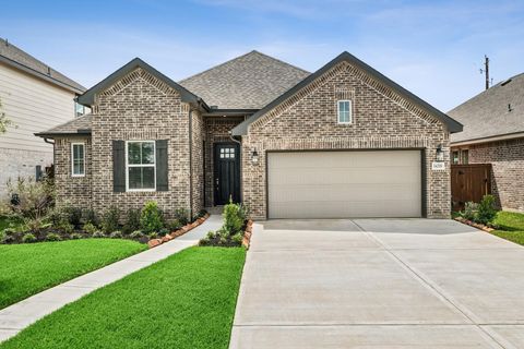 Photo of 14218 Hay Meadow Lane, Needville, TX 77461 (MLS # 48461212)