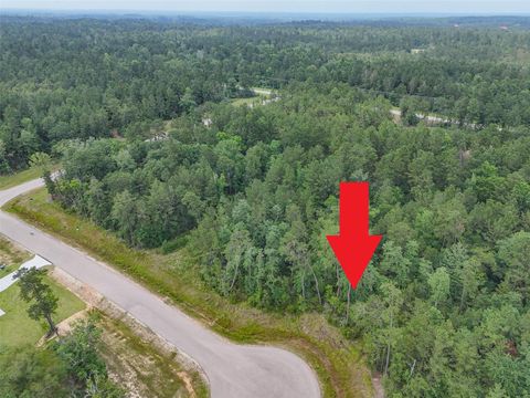 104 Eagle Run Road Willis TX 77378