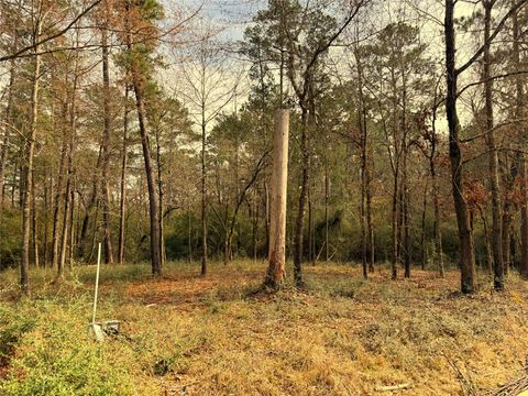 Photo of 195 Walnut Circle, Trinity, TX 75862 (MLS # 44628552)