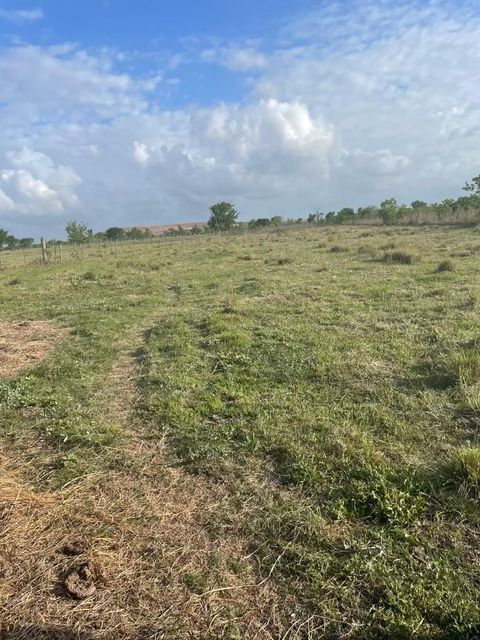 Photo of 1010 County Road 595 Drive, Angleton, TX 77515 (MLS # 39531560)