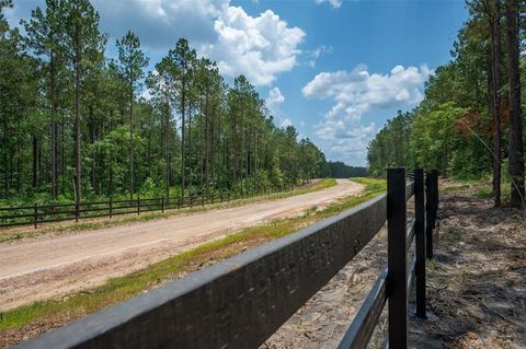 Vacant Land For Sale - TBD 6 Timberland Branch Drive<br/> Tyler County, Woodville, TX 75979
