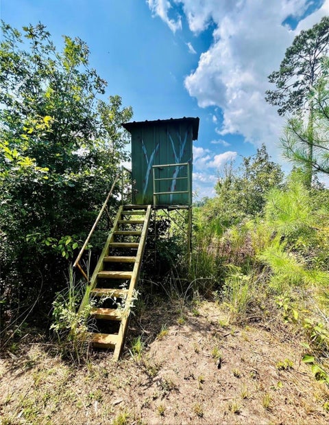 Photo of 9 Nine Bridges Road, Corrigan, TX 75939 (MLS # 7895276)