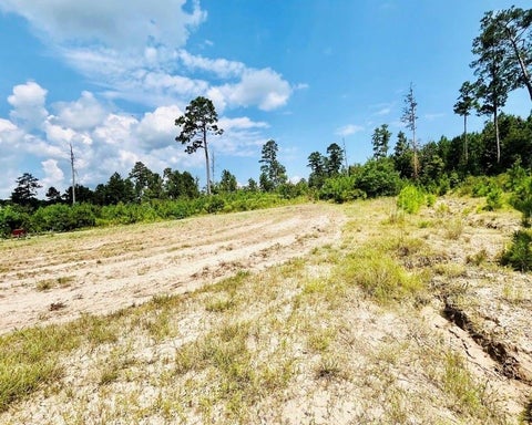Photo of 0 Nine Bridges Road, Corrigan, TX 75939 (MLS # 7895276)