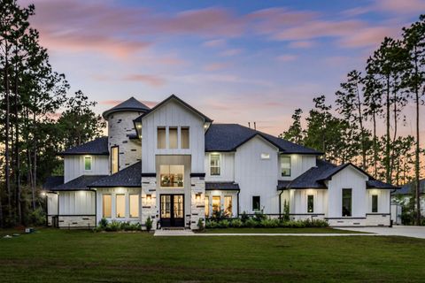 11420 W Kristina Circle Montgomery TX 77316