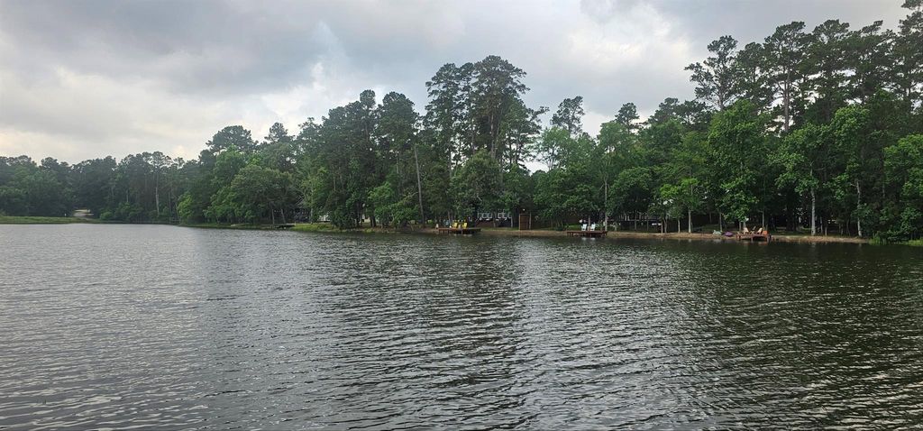 Photo of 15715 Holly Drive Drive, Montgomery, TX 77356 (MLS # 35888335)