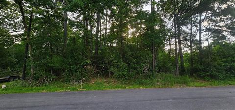 Photo of 15715 Holly Drive Drive, Montgomery, TX 77356 (MLS # 35888335)