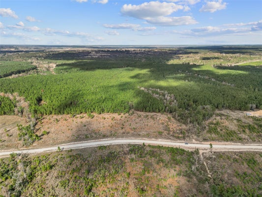123 LONE STAR RIDGE, LOVELADY, TX 77578 - Image 0dde5afc7a2b044e4232e2005c091ed4/2336687775