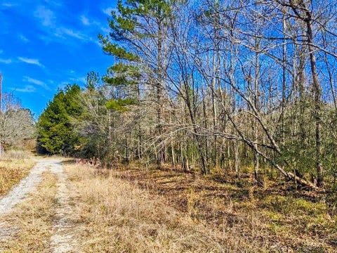 Photo of TBD Veal Street, Chester, TX 75936 (MLS # 60706137)