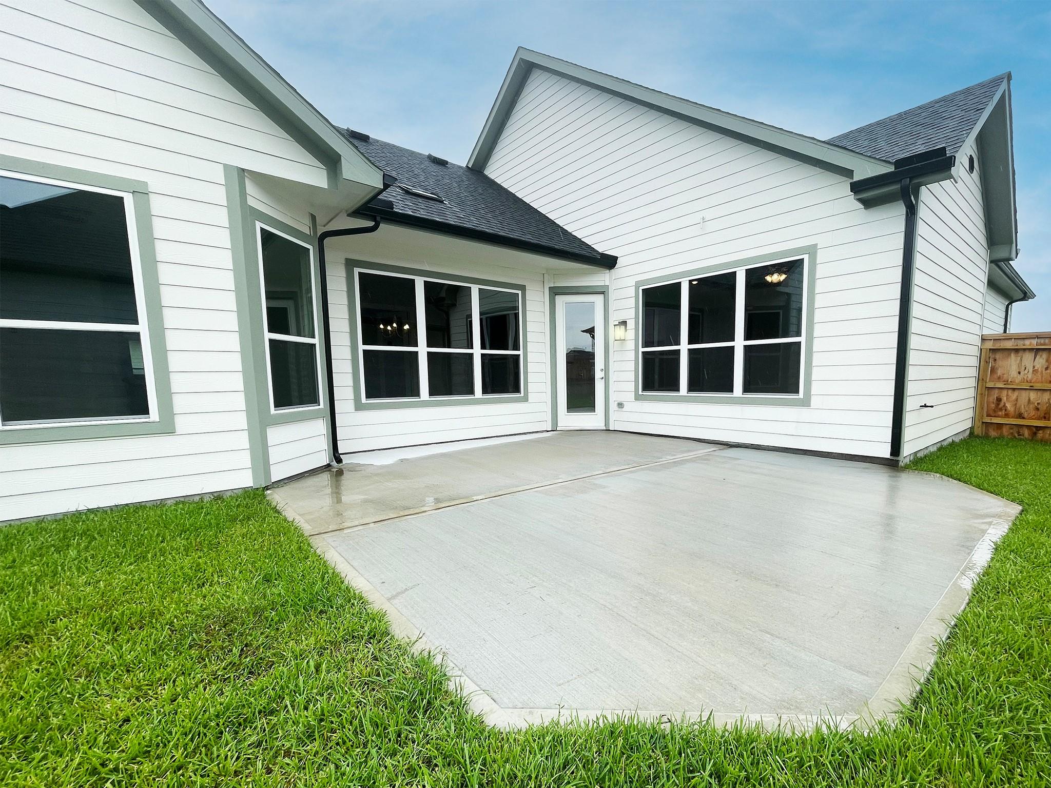 23602 Golden Birch