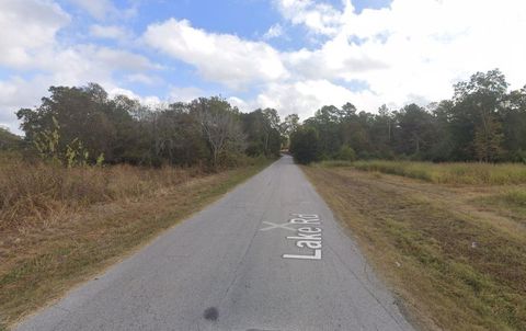 Photo of 0 Lake Road, Riverside, TX 77320 (MLS # 31754149)