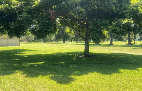 Photo of 1101 S Main Street, Highlands, TX 77562 (MLS # 6001425)